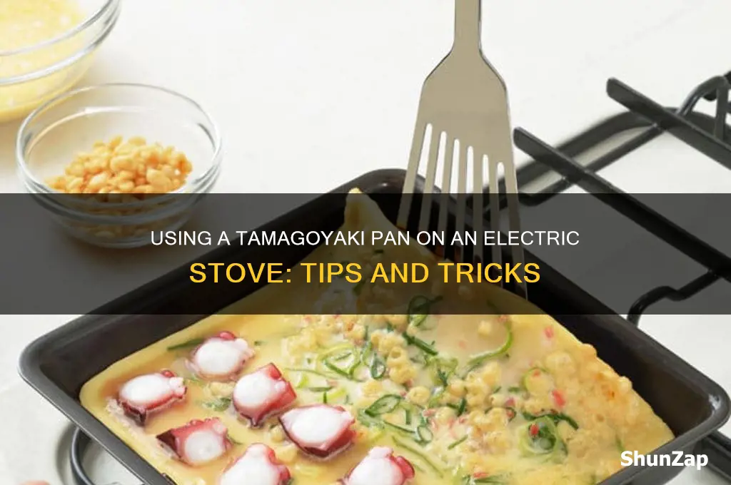 can you use a tamagoyaki pan on a electric stove