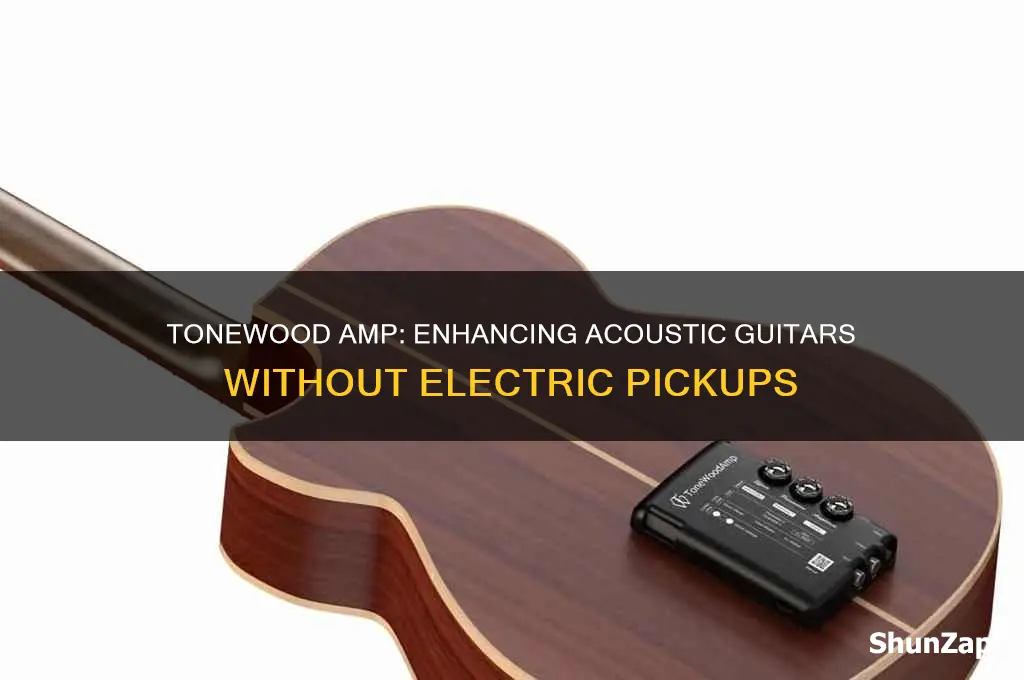 can you use a tonewood amp without an acoustic electric