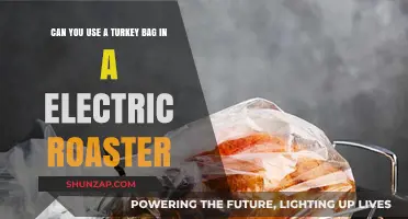 Using Turkey Bags in Electric Roasters: Safe and Effective Cooking Tips