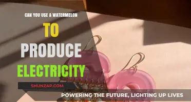 Watermelon Power: Can This Juicy Fruit Generate Electricity?