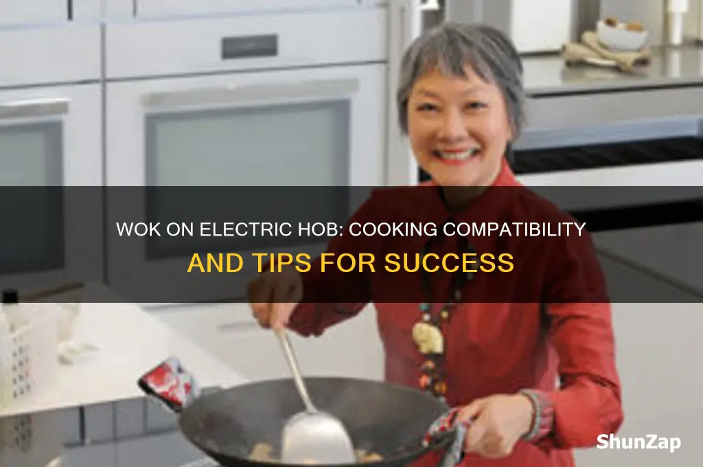 can you use a wok on an electric hob