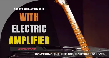 Acoustic Bass with Electric Amp: Compatibility, Sound, and Setup Tips