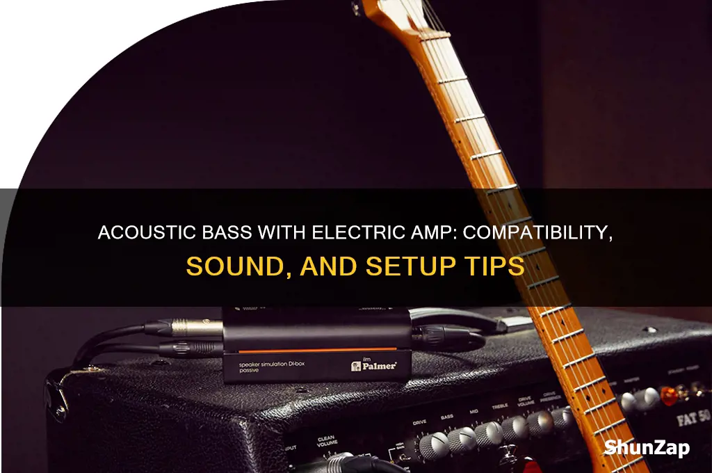 can you use acoustic bass with electric amplifier