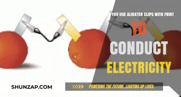 Conducting Electricity with Alligator Clips and Fruit: A Simple Experiment