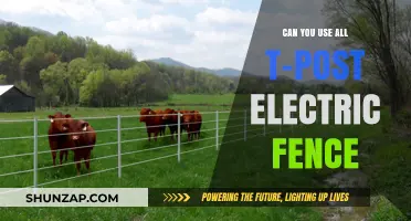 Using T-Posts for Electric Fences: A Comprehensive Guide and Tips