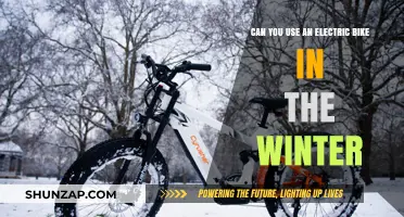 Winter Riding: Can Electric Bikes Handle Cold Weather Conditions?