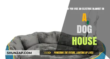 Electric Blankets in Dog Houses: Safe or Risky for Pets?