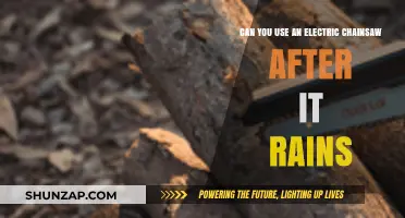 Using Electric Chainsaws Post-Rain: Safety Tips and Best Practices