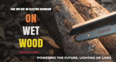 Using Electric Chainsaws on Wet Wood: Safety Tips and Best Practices