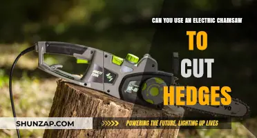 Electric Chainsaw for Hedge Trimming: Effective Tool or Risky Choice?