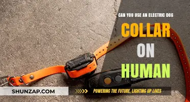 Electric Dog Collars on Humans: Ethical, Legal, and Safety Concerns