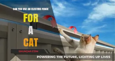 Electric Fences for Cats: Safe, Effective, or Risky Solution?