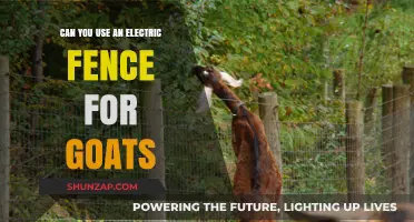 Using Electric Fences for Goats: Benefits, Safety, and Setup Tips