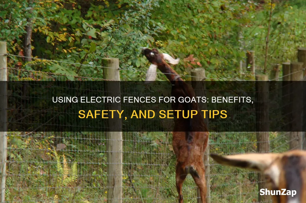 can you use an electric fence for goats
