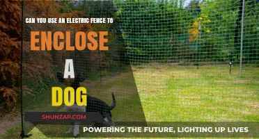 Electric Fences for Dogs: Safe and Effective Containment Solution?