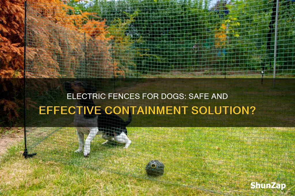 can you use an electric fence to enclose a dog