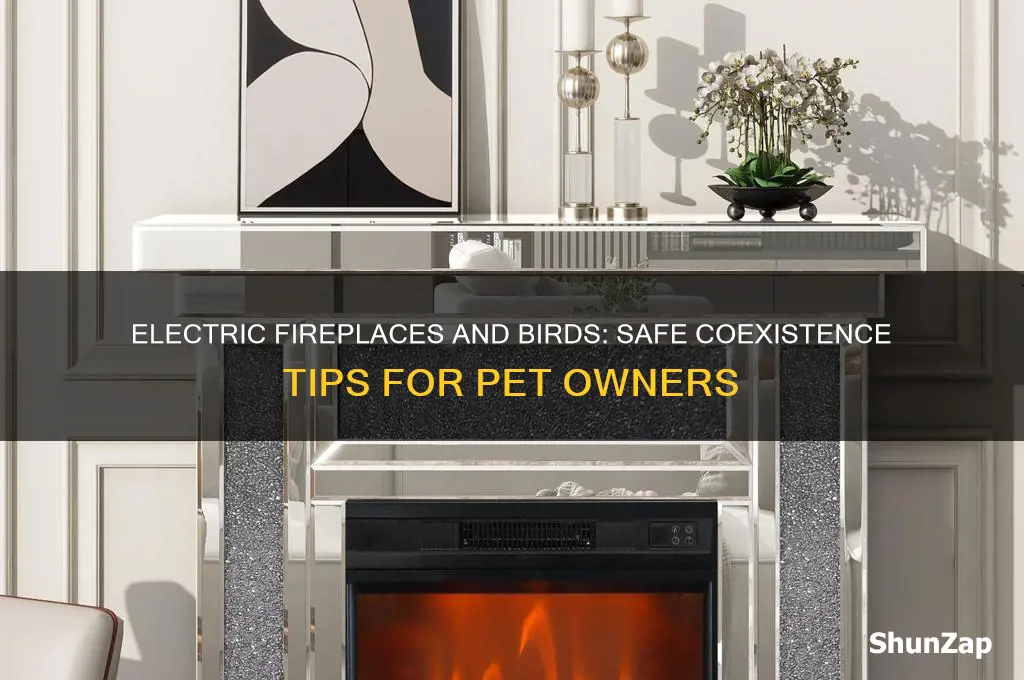 can you use an electric fireplace with birds