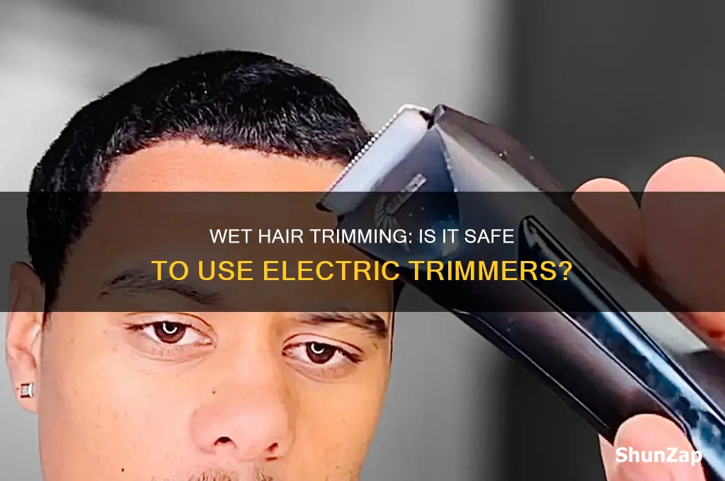 can you use an electric hair trimmer on wet hair
