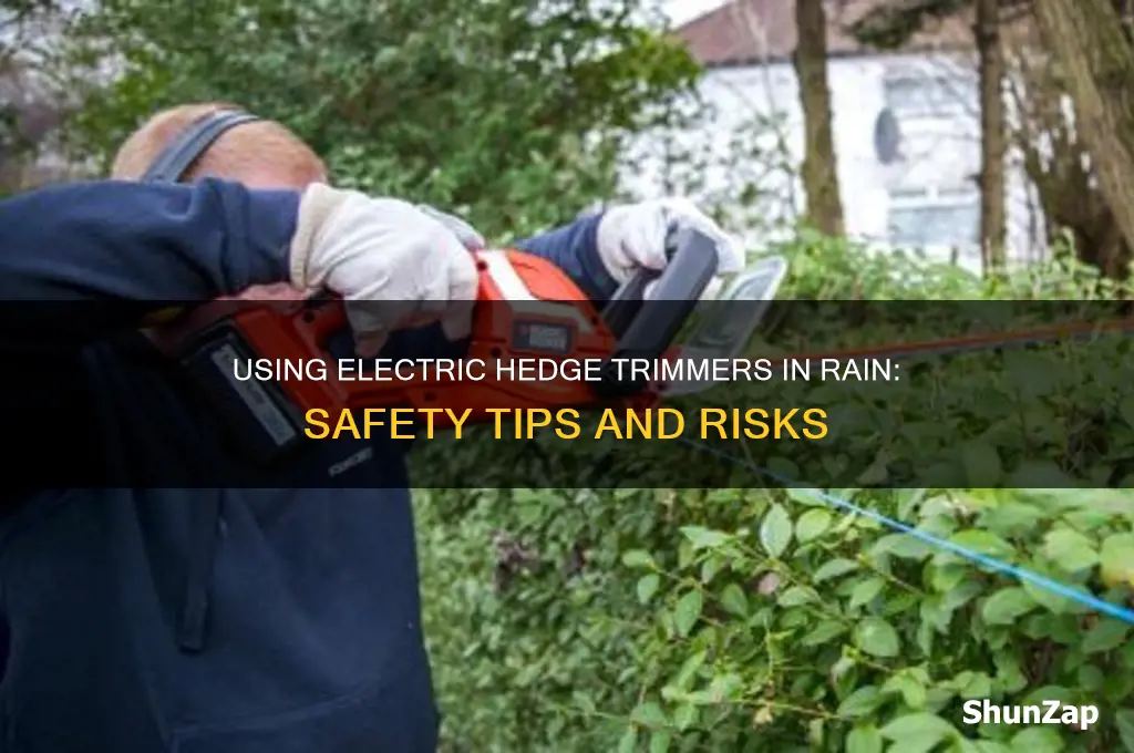 can you use an electric hedge trimmer in the rain