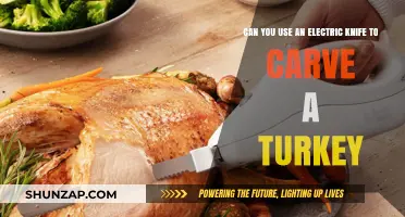 Electric Knife for Turkey Carving: A Game-Changer or Gimmick?
