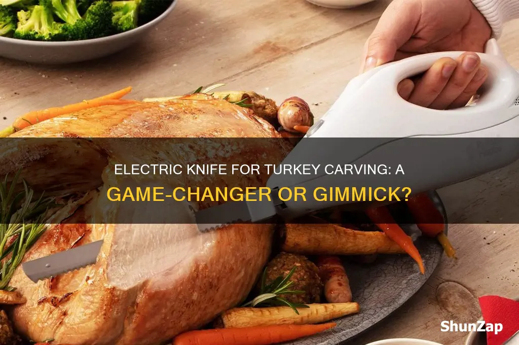 can you use an electric knife to carve a turkey