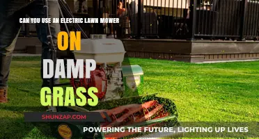 Using Electric Lawn Mowers on Damp Grass: Risks and Best Practices