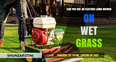 Using Electric Lawn Mowers on Wet Grass: Risks and Best Practices