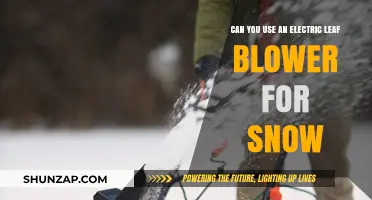 Electric Leaf Blower for Snow: Practical Winter Hack or Risky Move?