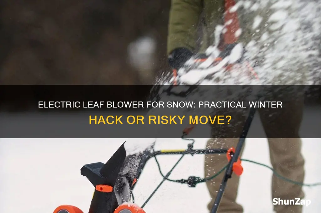 can you use an electric leaf blower for snow