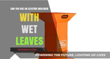 Using Electric Mulchers for Wet Leaves: Tips and Best Practices