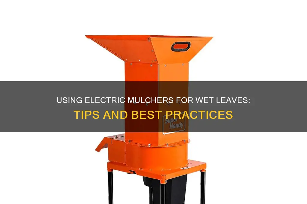 can you use an electric mulcher with wet leaves