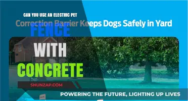 Electric Pet Fences and Concrete: Compatibility, Installation, and Safety Tips
