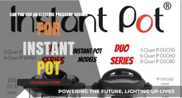 Electric Pressure Cooker vs. Instant Pot: Are They Interchangeable?
