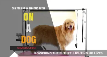 Electric Razors for Dogs: Safe Grooming Tips and Best Practices
