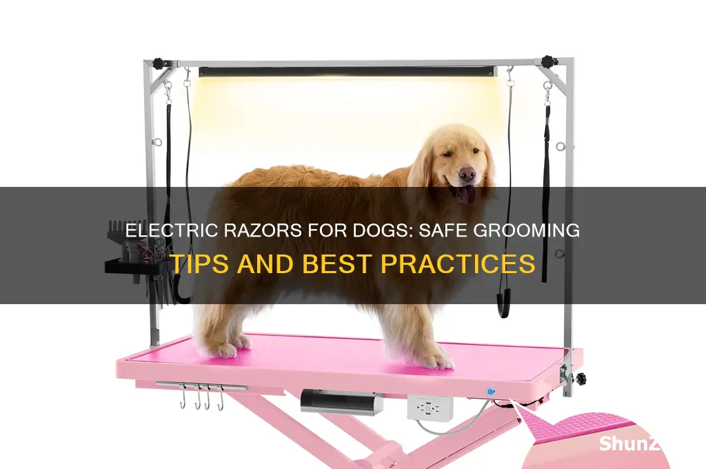 can you use an electric razor on a dog