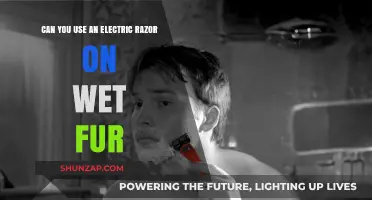 Electric Razors on Wet Fur: Safe Practice or Risky Move?