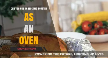 Electric Roaster as Oven: Versatile Cooking or Risky Substitute?