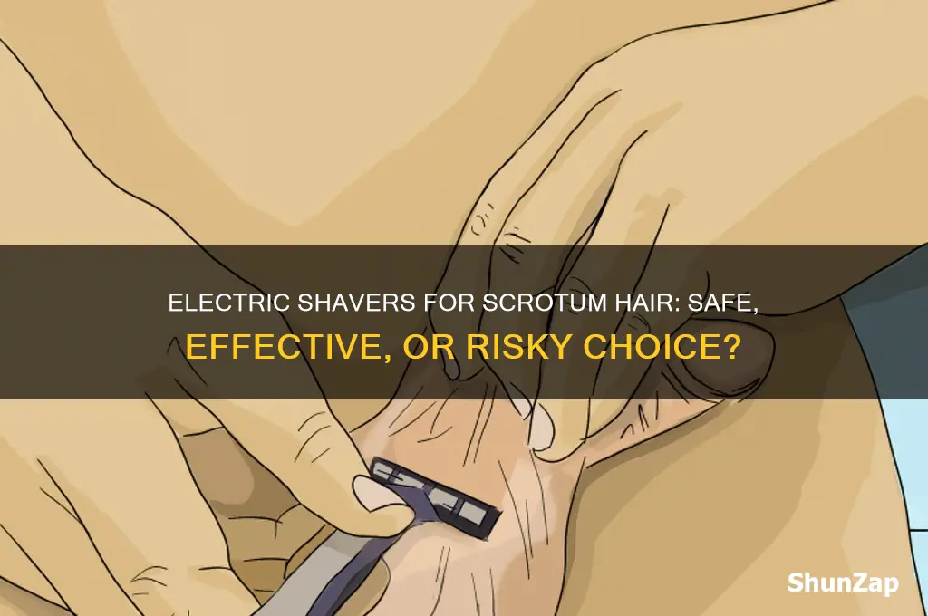 can you use an electric shaver on scrotum hair
