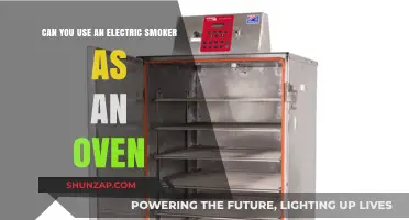 Electric Smoker as Oven: Versatile Cooking or Culinary Myth?