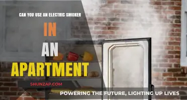 Apartment Smoking Made Easy: Electric Smoker Tips and Tricks
