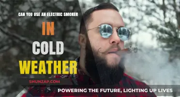 Cold Weather Smoking: Tips for Using Electric Smokers in Winter