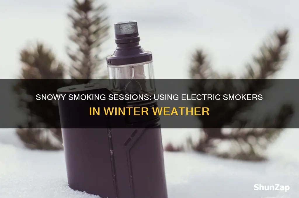 can you use an electric smoker in the snow