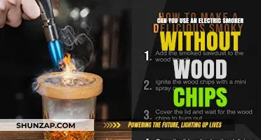 Electric Smoker Without Wood Chips: Is It Possible and How?