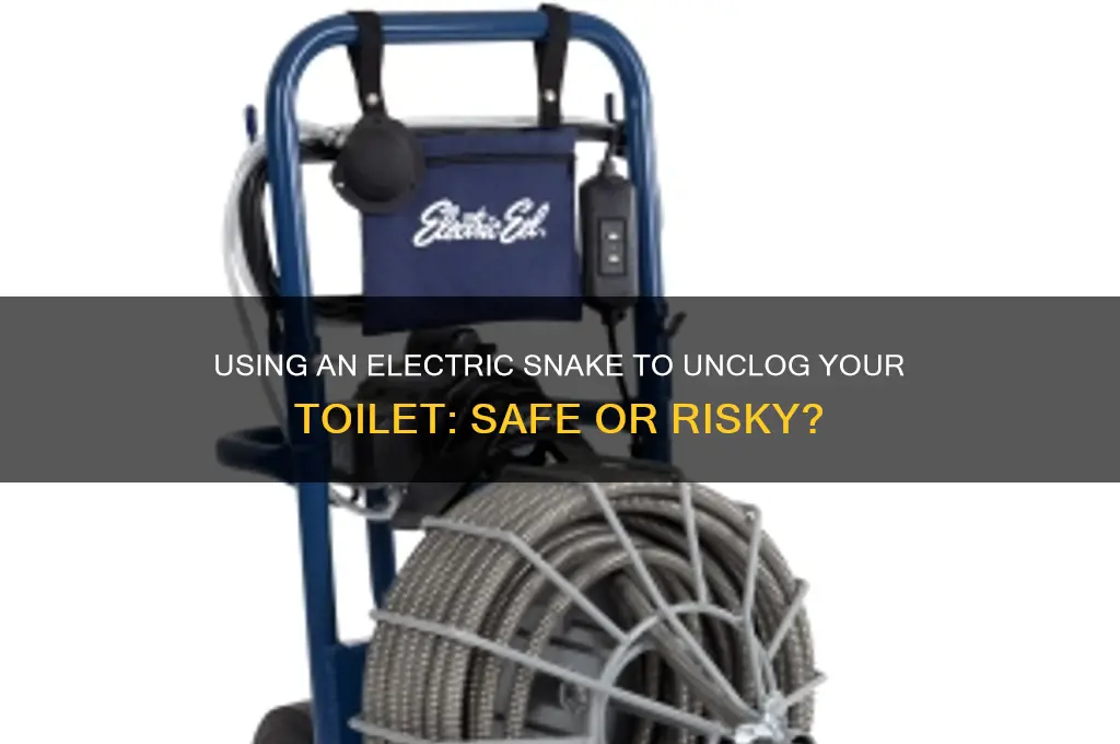 can you use an electric snake down a toilet