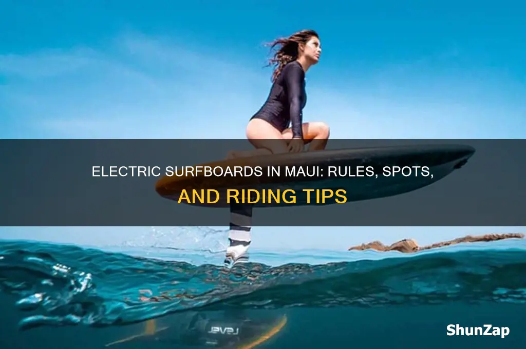 can you use an electric surfboard in maui