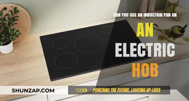 Induction Pans on Electric Hobs: Compatibility and Cooking Tips