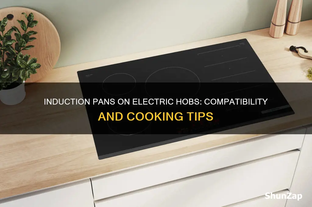 can you use an induction pan on an electric hob