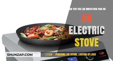 Induction Pans on Electric Stoves: Compatibility and Cooking Tips