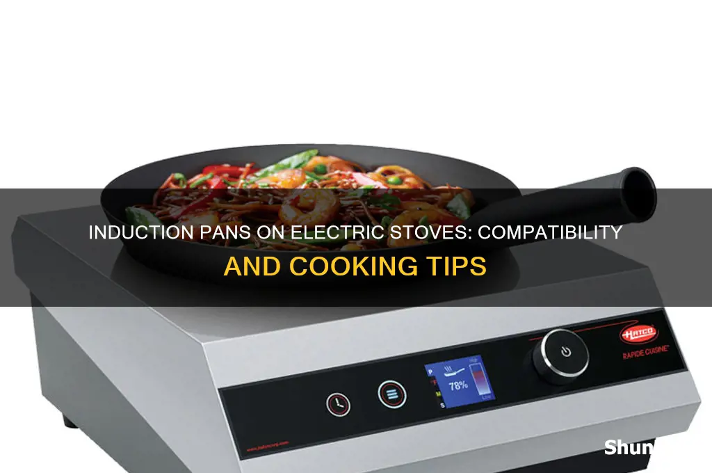 can you use an induction pan on an electric stove