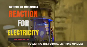 Harnessing Antimatter-Matter Reactions: A Viable Future for Electricity Generation?